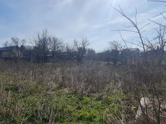 Theodor Pallady, Ikea