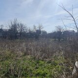 Theodor Pallady, Ikea